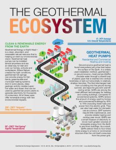 The Geothermal Ecosystem